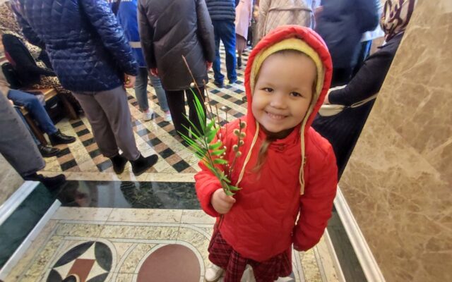 13.04.2025.  Вербное воскресенье. Фото